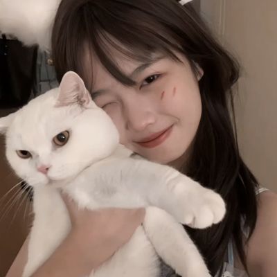 醉西游九游版下载